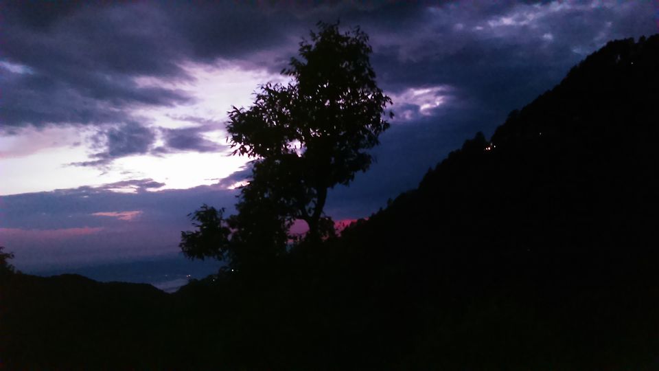 Photo of Colours of nature by Swati Yadav