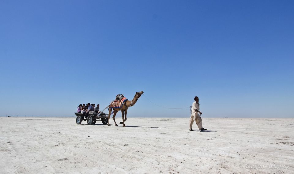 Photo of Gujarat - Rann of Kutchh and more by Palak Checker
