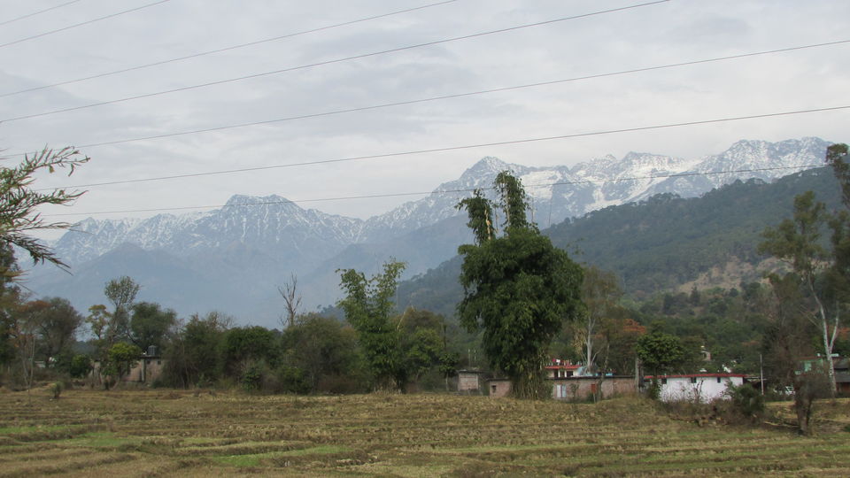 Photo of Kathmil: The unknown village in Kangra, Himachal Pradesh 1/5 by Sourjya Das