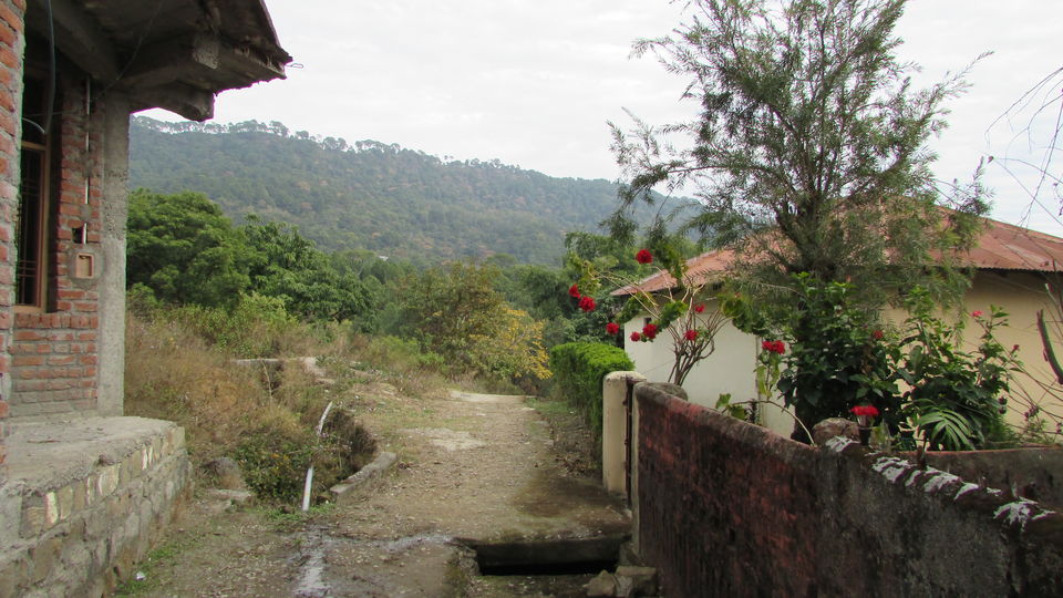 Photo of Kathmil: The unknown village in Kangra, Himachal Pradesh 3/5 by Sourjya Das