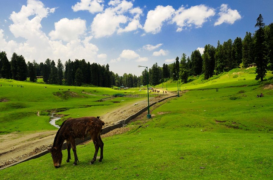 Photo of This unvisited place in Kashmir will make you forget mainstream destinations in J&K 1/1 by Sourjya Das