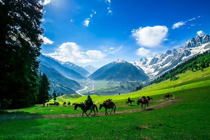Photo of This unvisited place in Kashmir will make you forget mainstream destinations in J&K by Sourjya Das