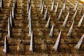 Photo of Mehrangarh Fort, Jodhpur, Rajasthan, India by Stamped Passport_Charu