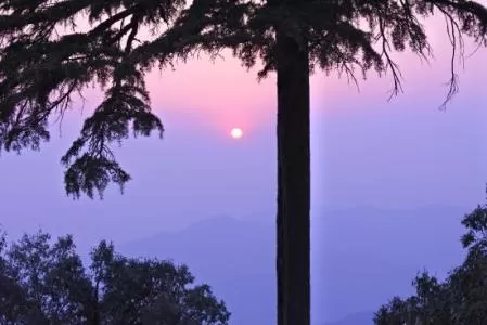 Photo of Binsar, Uttarakhand, India by Stamped Passport_Charu
