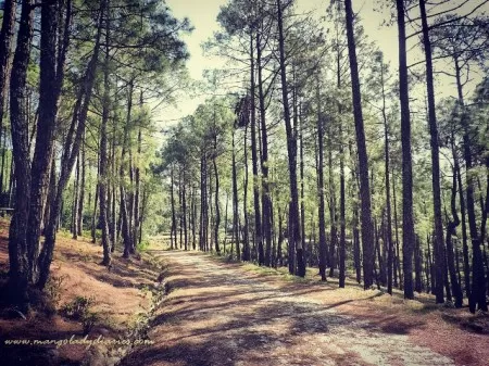 Photo of Dhaulchhina, Uttarakhand, India by Stamped Passport_Charu
