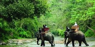 Photo of Jim Corbett National Park, Ramnagar, Uttarakhand, India by Stamped Passport_Charu