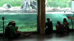 Photo of Calgary Zoo, St. George's Drive NE, Calgary, AB, Canada by Stamped Passport_Charu