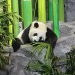 Photo of Calgary Zoo, St. George's Drive NE, Calgary, AB, Canada by Stamped Passport_Charu