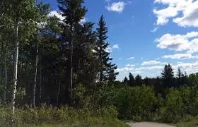 Photo of Fish Creek Provincial Park, Calgary, AB, Canada by Stamped Passport_Charu
