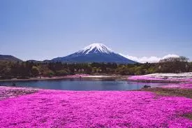Photo of Fuji, Shizuoka Prefecture, Japan by Stamped Passport_Charu