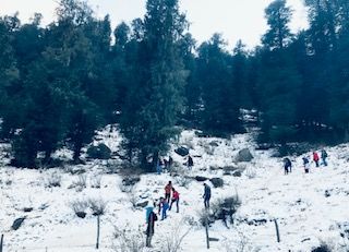 Photo of Fagu, Himachal Pradesh, India by Stamped Passport_Charu