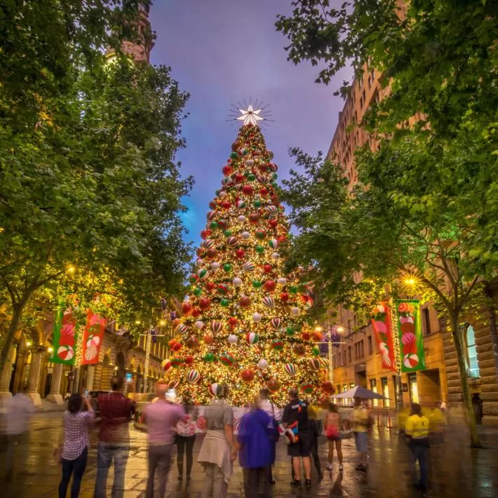 Photo of Sydney NSW, Australia by Stamped Passport_Charu