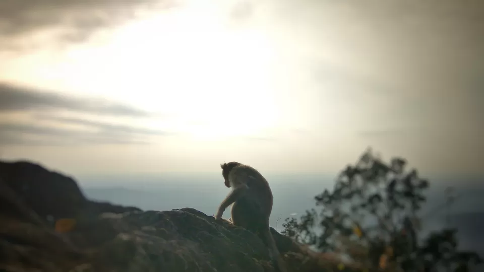 Photo of Agumbe Sunset View Point, Agumbe, Karnataka, India by Manoj D Kashyap