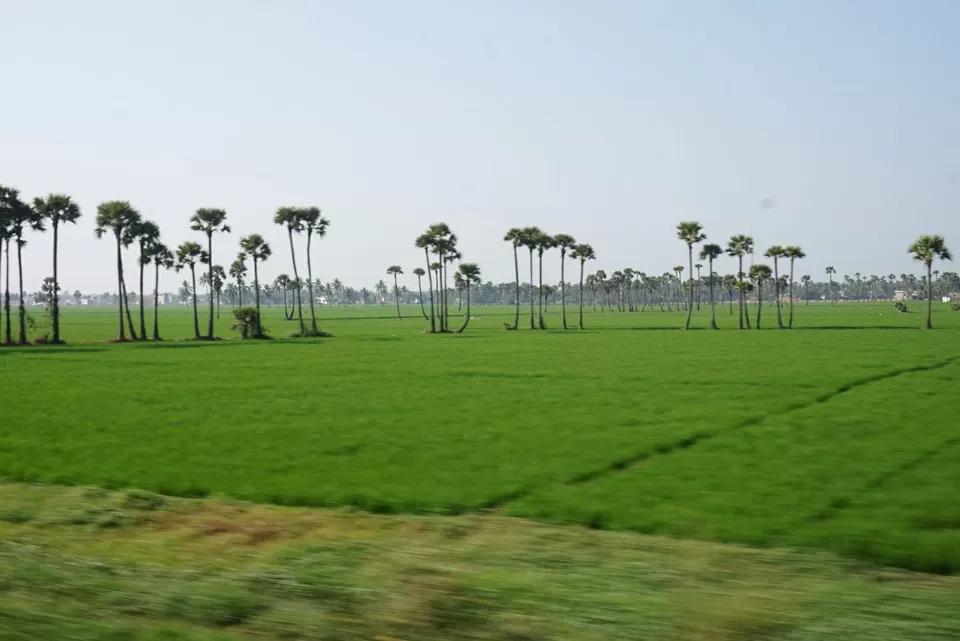 Photo of East Godavari, Andhra Pradesh, India by Manoj D Kashyap