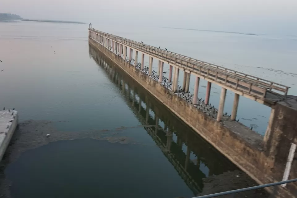 Photo of Mahanadi River, Odisha by Manoj D Kashyap