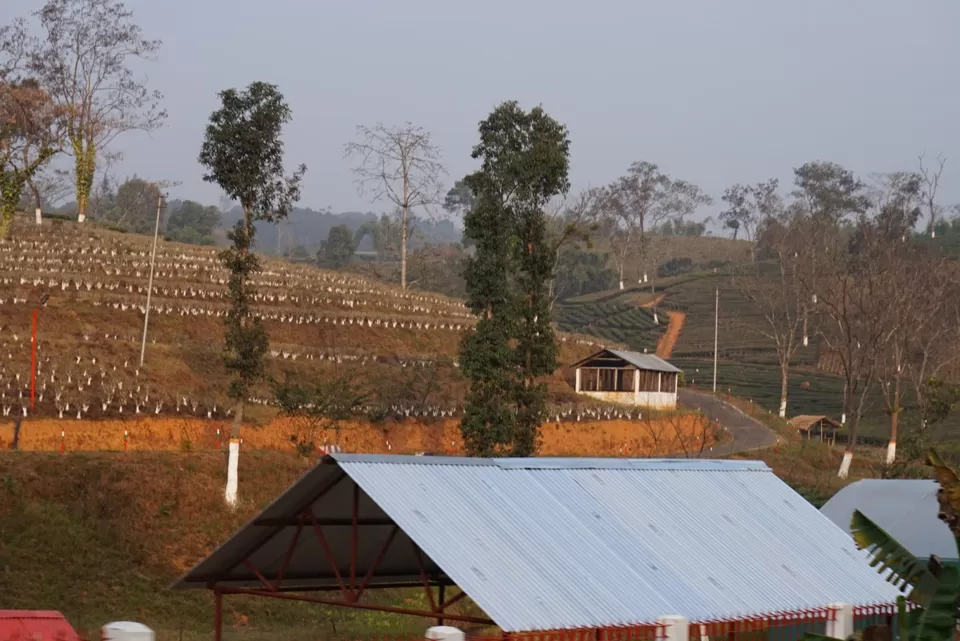 Photo of Meghalaya, India by Manoj D Kashyap