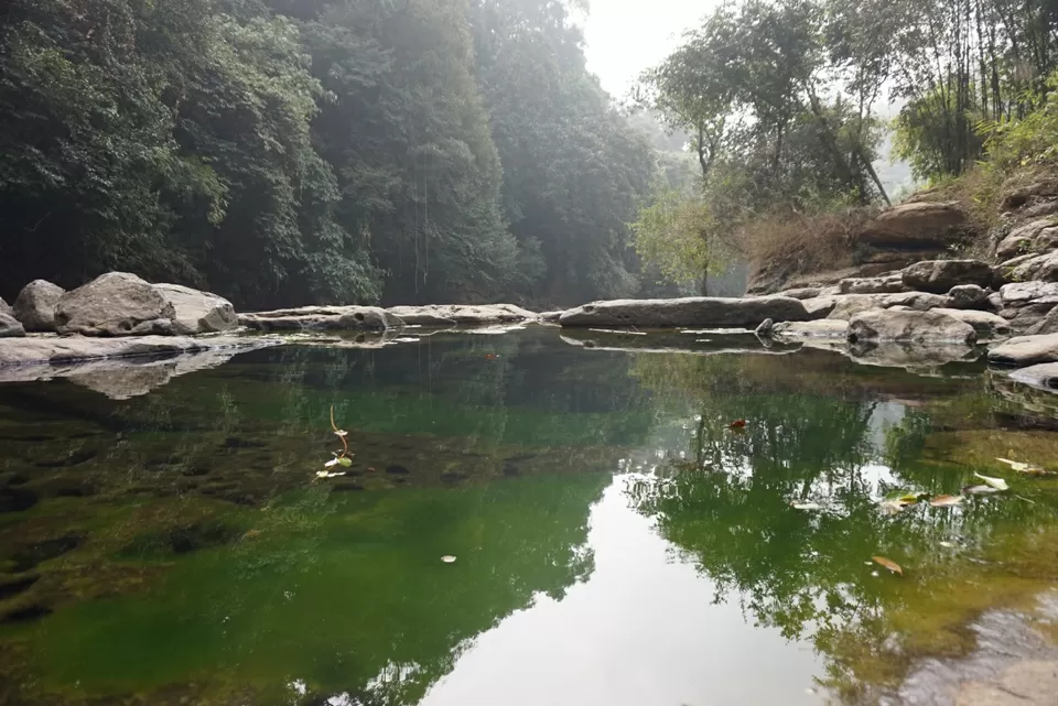 Photo of Living Root Bridge, Cherrapunjee, Meghalaya, India by Manoj D Kashyap