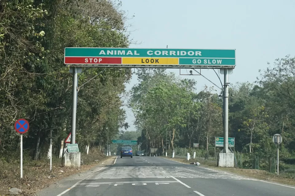 Photo of Kaziranga National Park, Assam, India by Manoj D Kashyap