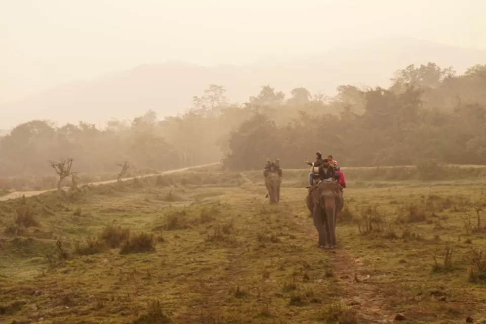 Photo of Kaziranga National Park, Assam, India by Manoj D Kashyap