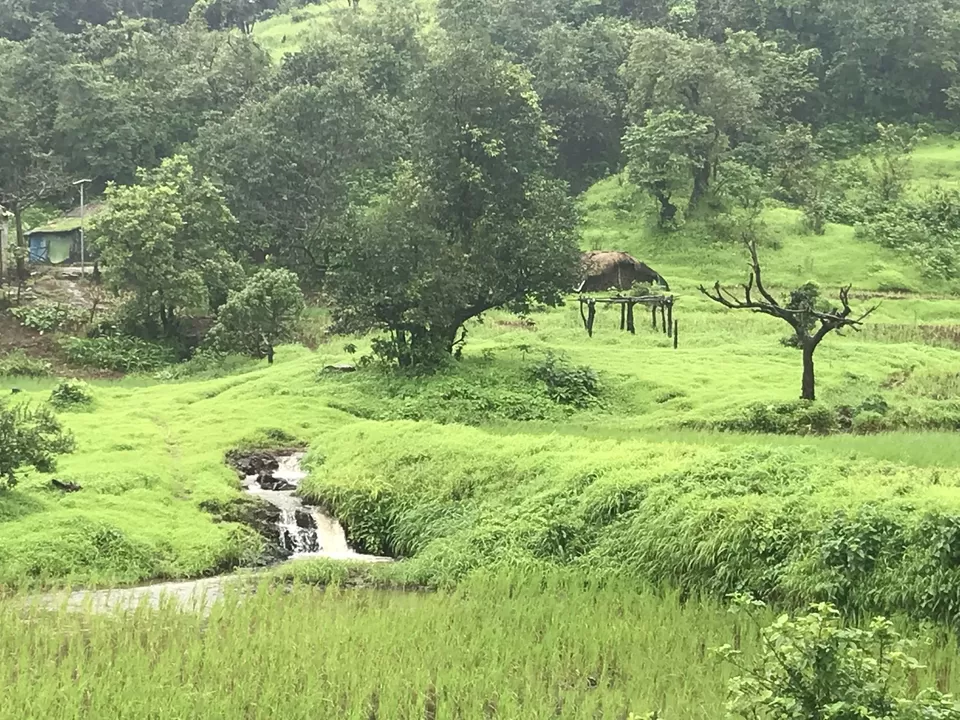 Photo of Tamhini Ghat Road, Tamhini, Maharashtra, India by Manoj D Kashyap