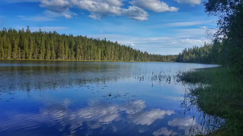 Photo of Skuleskogen National Park, Kustvägen, Mjällom, Sweden by Manoj D Kashyap