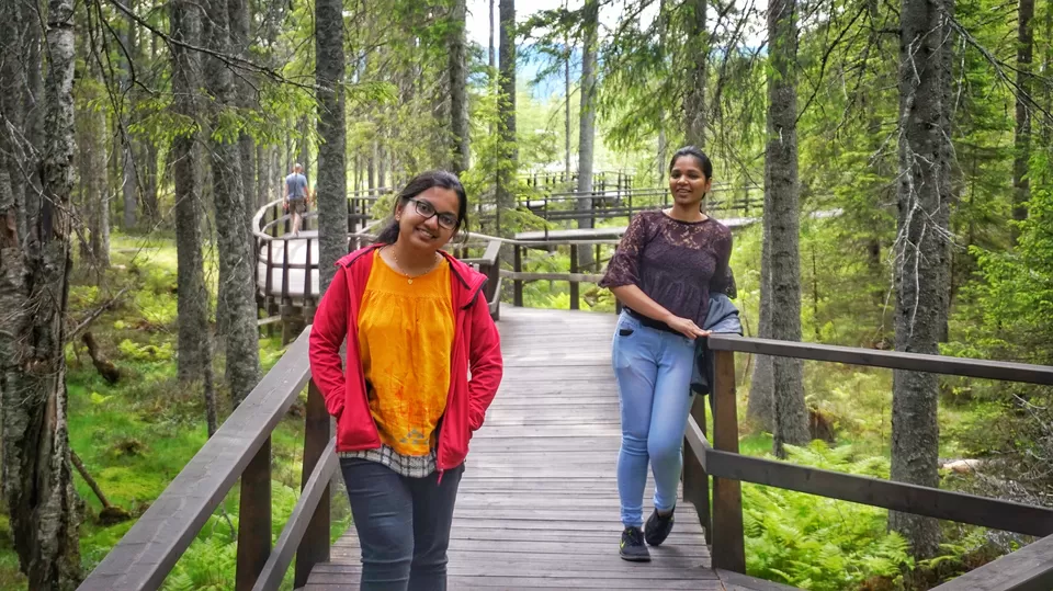 Photo of Skuleskogen National Park, Kustvägen, Mjällom, Sweden by Manoj D Kashyap