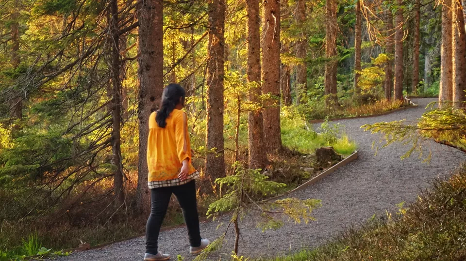 Photo of Skuleskogen National Park, Kustvägen, Mjällom, Sweden by Manoj D Kashyap