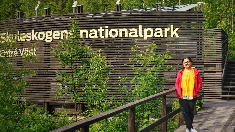 Photo of Skuleskogen National Park, Kustvägen, Mjällom, Sweden by Manoj D Kashyap