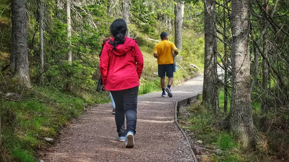 Photo of Skuleskogens Nationalpark - Entré Syd, Docksta, Sweden by Manoj D Kashyap