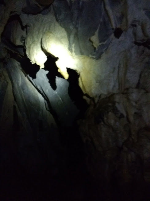 Photo of PP Underground river – New 7 Wonders of Nature : #PhilippinesDiary 21/25 by Bhumika Mehta