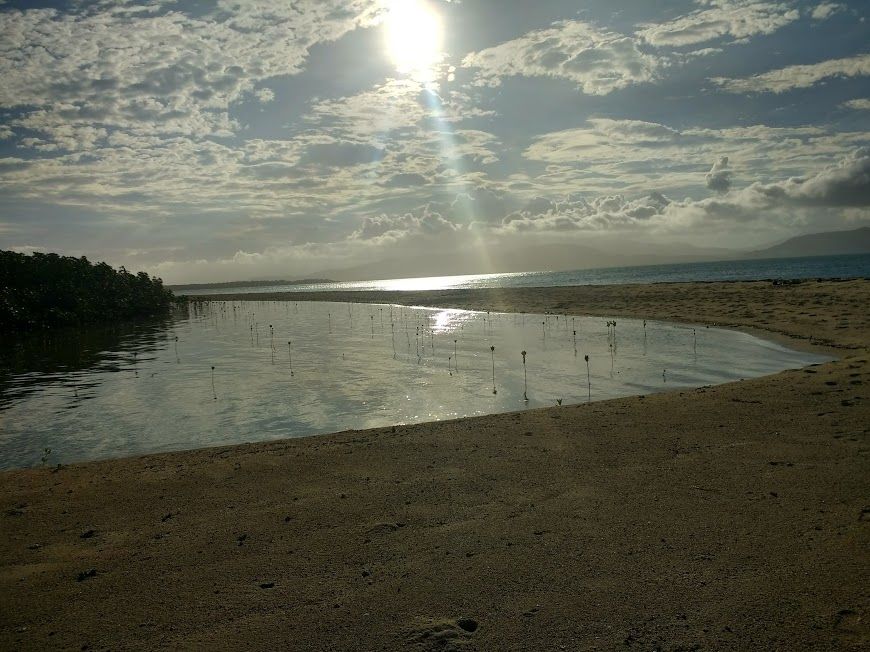 Photo of A day in Pureto Princesa, Palwan : #PhilippinesDiary 44/51 by Bhumika Mehta