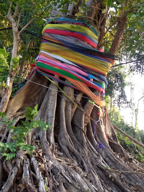 Photo of Phi Phi Island : The beauty crown of Thailand 36/39 by Bhumika Mehta