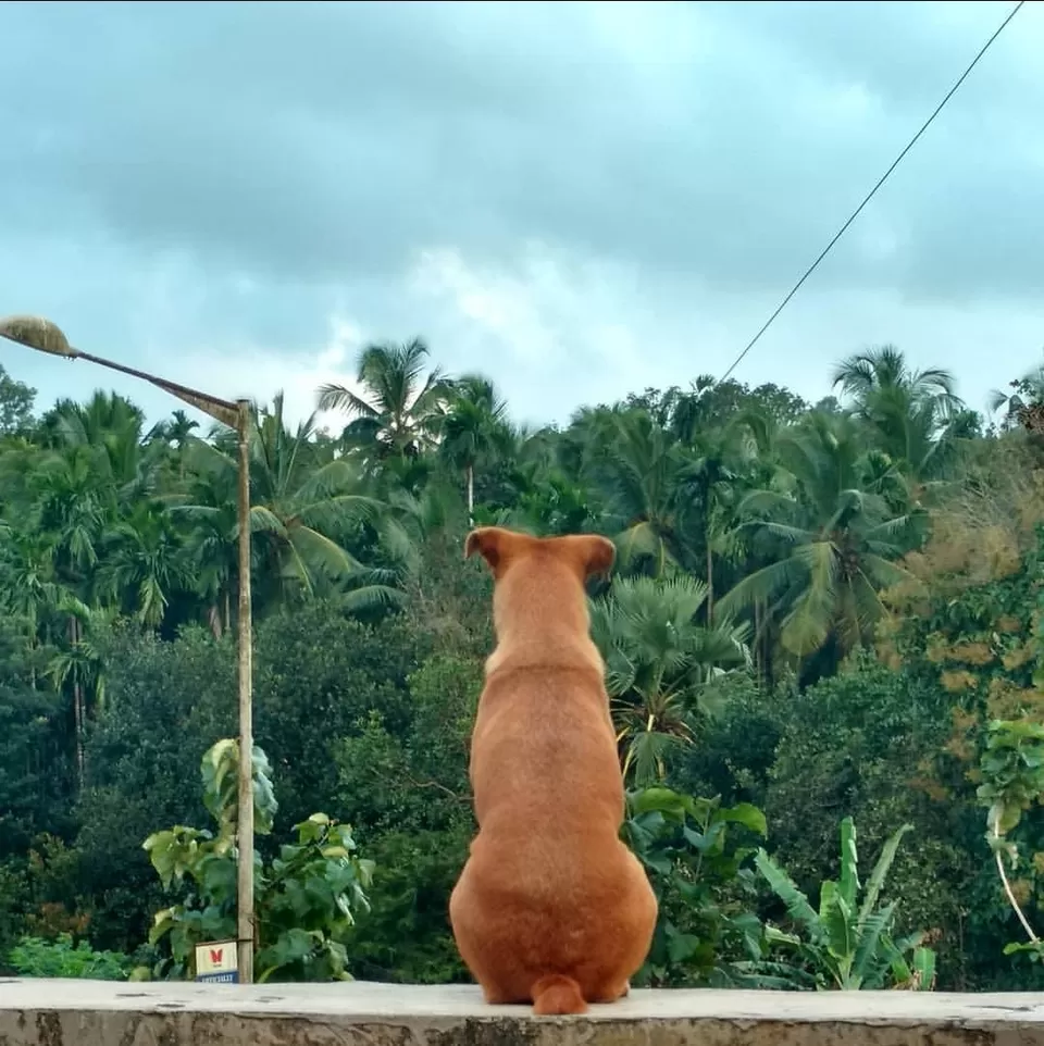 Photo of India By Mastane Musafir