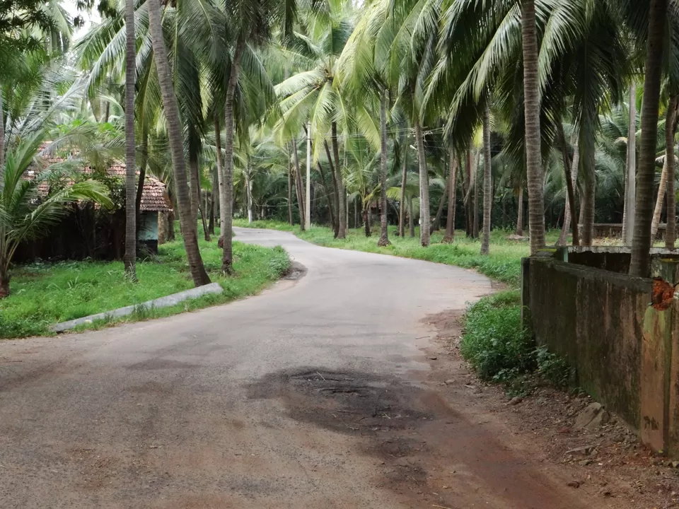 Photo of Delta Beach Backwater, Kodi Bengare - Hoode Road, Kodi Bengare, Karnataka, India by Mastane Musafir