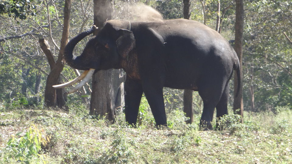 Photo of Somewhere in the wild... 4/16 by Krutarth Vashi