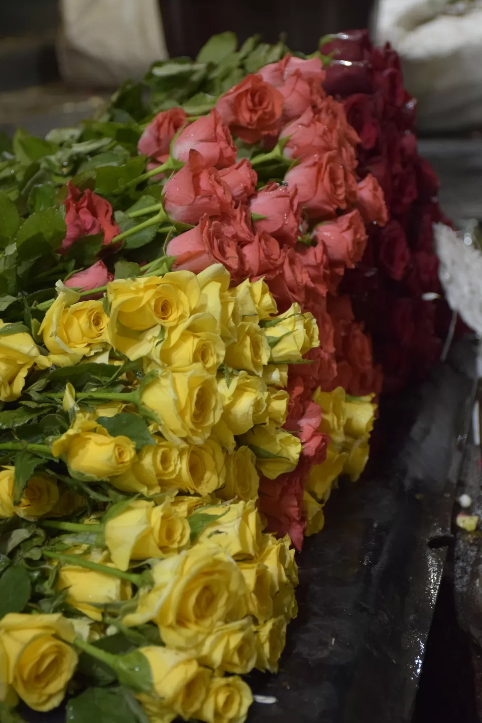 Photo of Madurai - A temple town that is full of surprises by Mastane Musafir