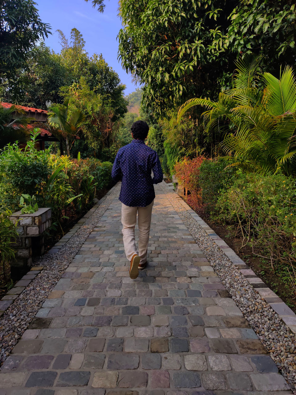 Photo of Experience The Goodness Of Nature While Unwinding At This 5-Star Property Amidst Hallowed Woods! by Mastane Musafir