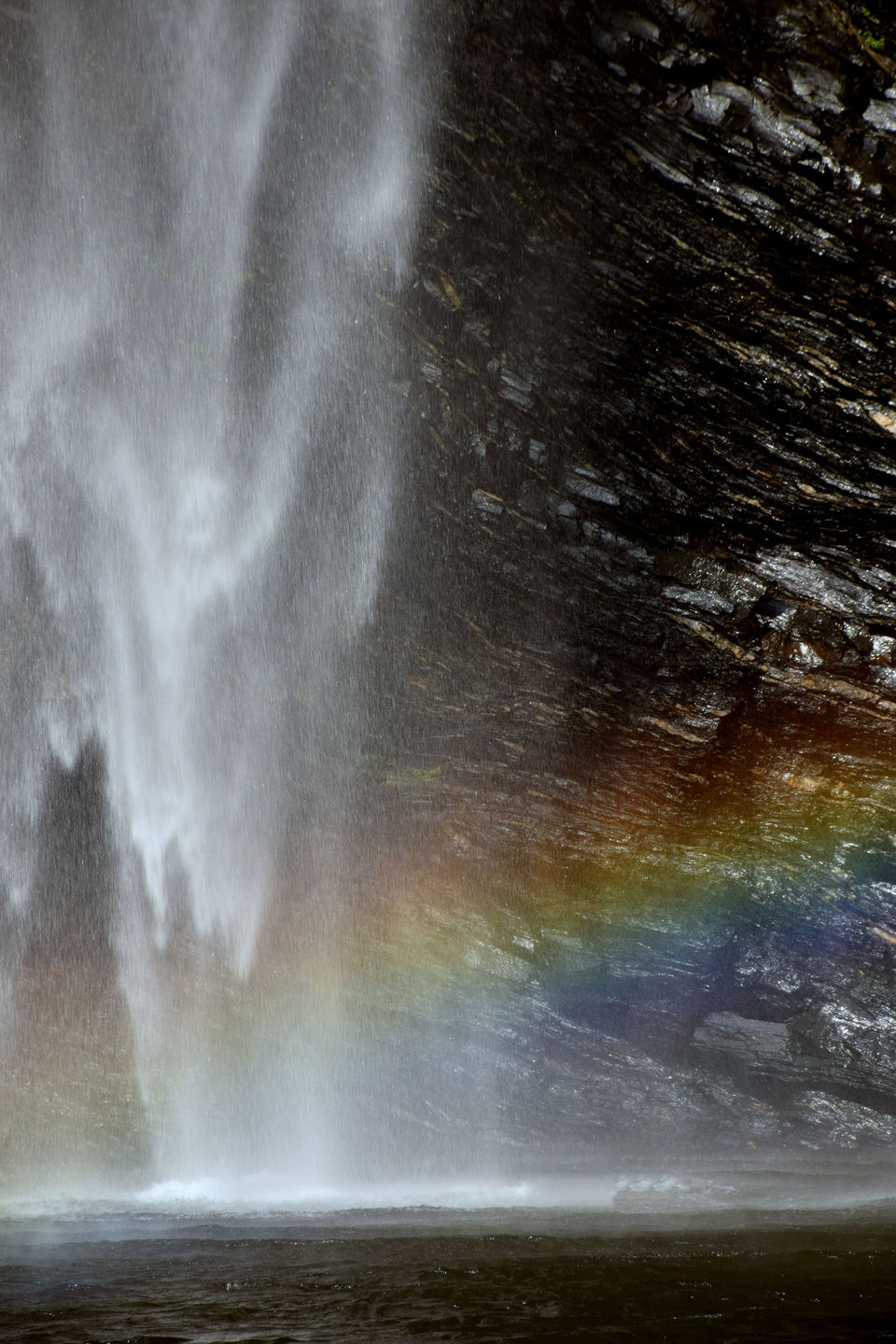 Photo of A hidden waterfall which is one of Karnataka's best kept secrets! by Mastane Musafir