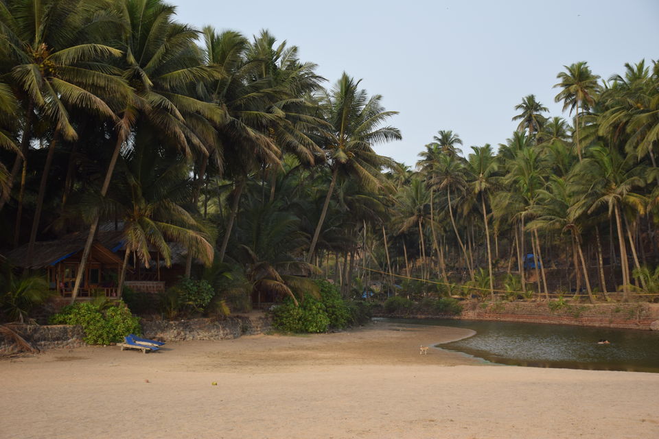 Photo of 11 Best Beaches of India 11/45 by Mastane Musafir