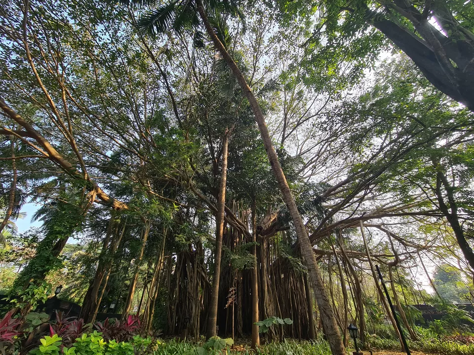 Photo of These 3 heritage properties of Goa ooze out Portuguese vibes, perfect for an amazing vacation! by Mastane Musafir