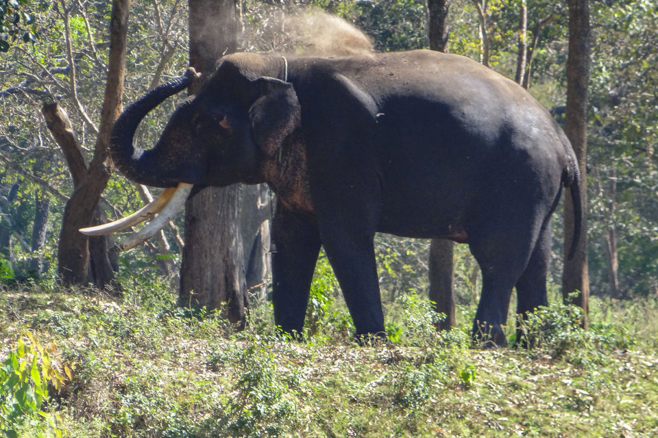 Photo of From Ladakh to Andamans, Up Close and Personal with India's Diverse Wildlife! 10/19 by Mastane Musafir