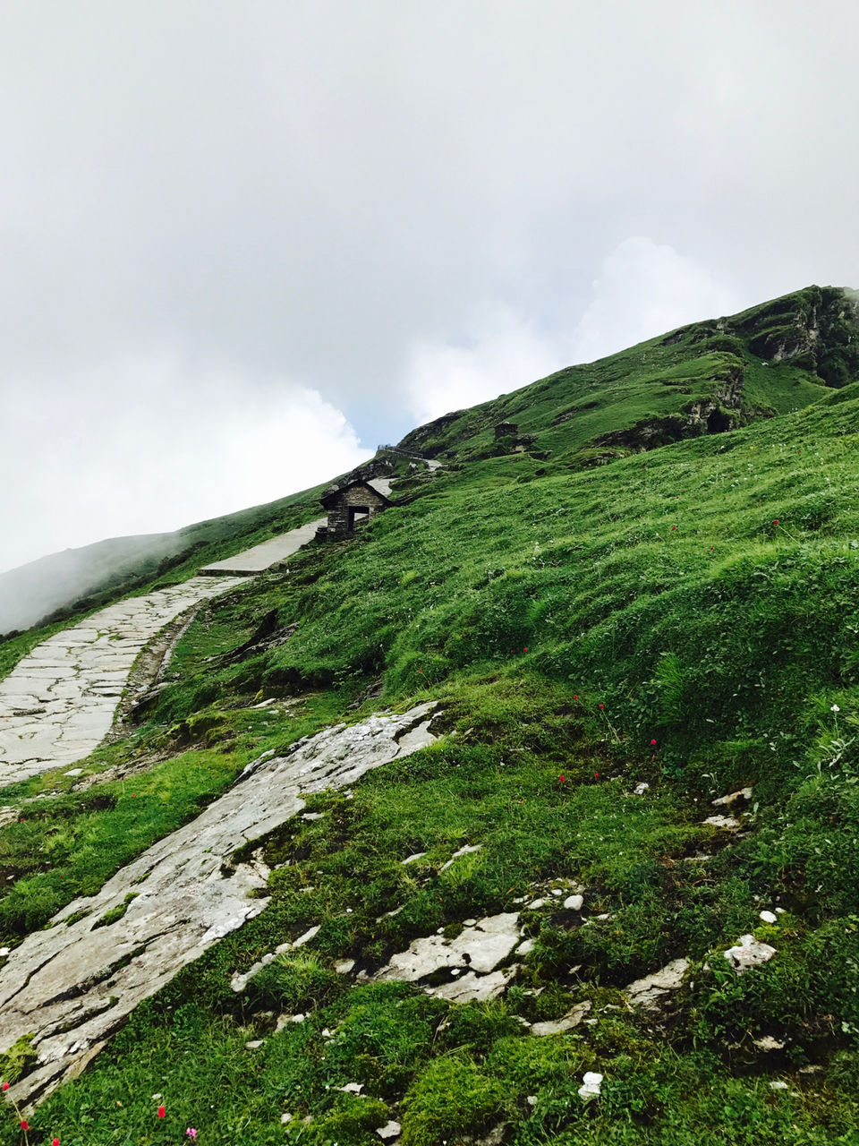Photo of Chopta Tungnath Chandrashila Trekking, Chopta, Uttarakhand, India by Kumar Gaurav