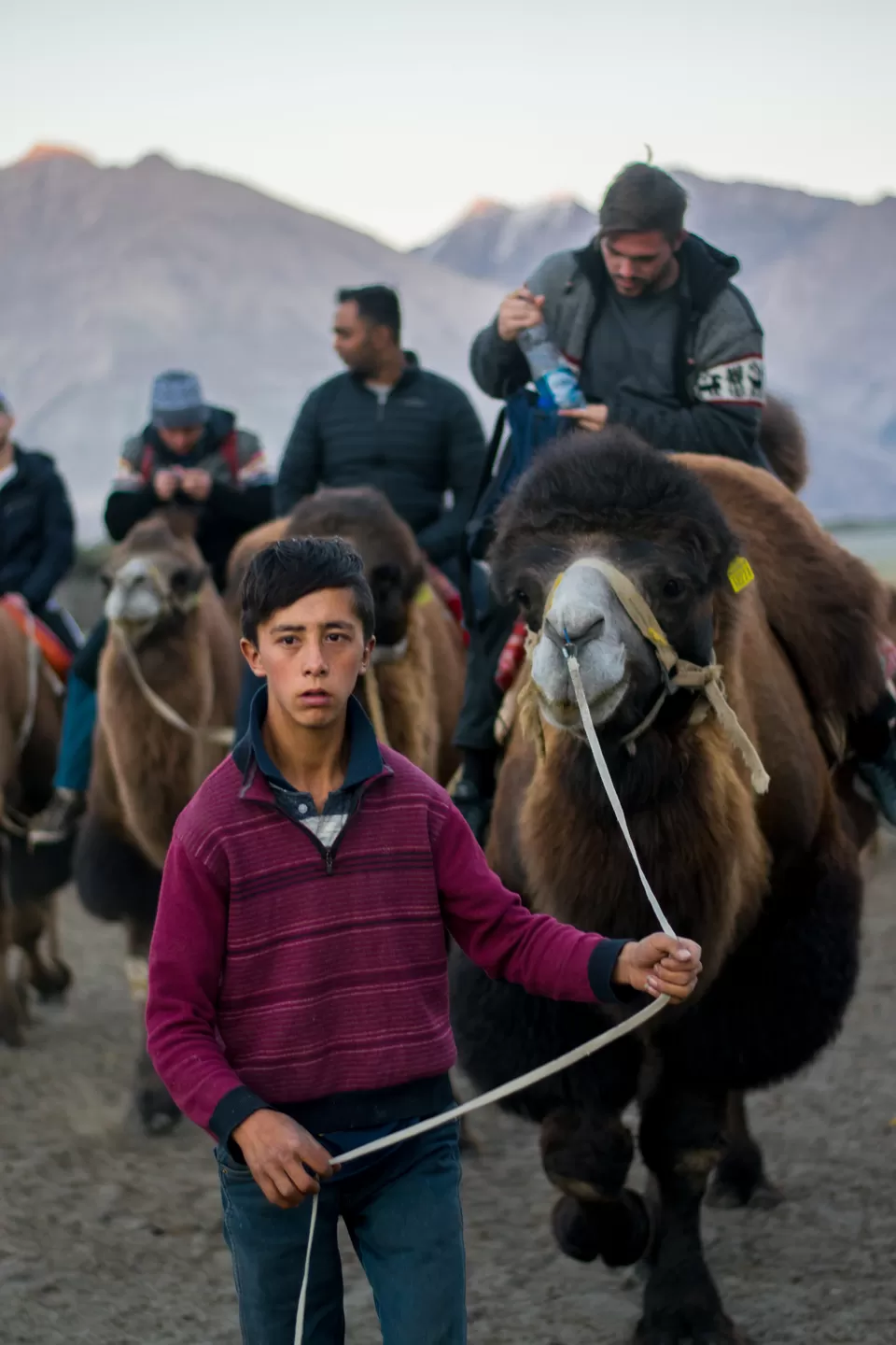 Photo of Nubra Valley, Leh by Aasish Sudarsanan