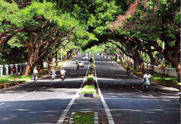 Photo of Chandigarh: The City Beautiful by Tanya Arora