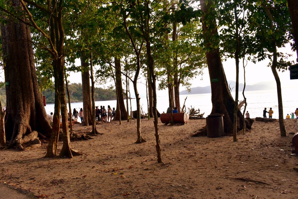 Photo of Andaman and Nicobar Islands - A hidden paradise by Payal Gupta
