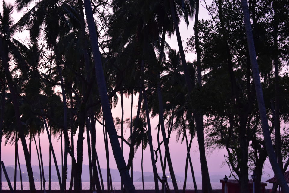 Photo of Andaman and Nicobar Islands - A hidden paradise by Payal Gupta