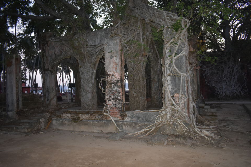 Photo of Andaman and Nicobar Islands - A hidden paradise by Payal Gupta