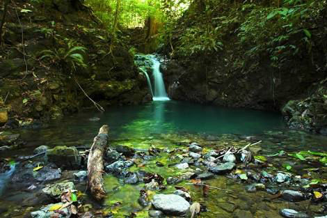 Photo of Mukteshwar : A vignette Of Kumaon Hills ! by Chandan Kumar