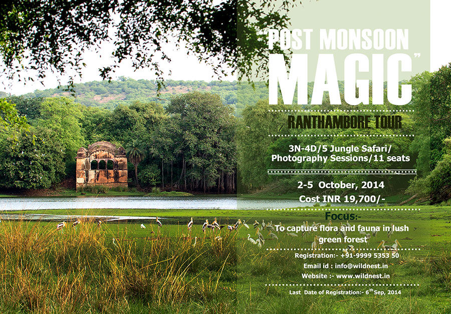 Photo of Ranthambore Photo Tour 1/5 by Ankit Goyal