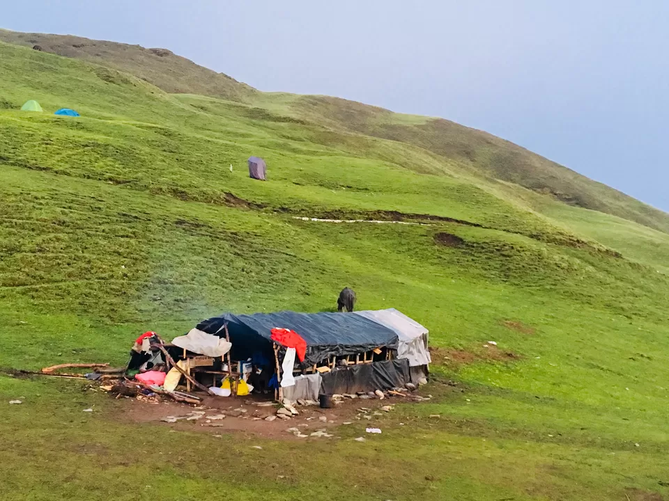 Photo of Bedini Bugyal, Roopkund Trail, Uttarakhand, India by Sreya Mantena